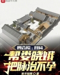 四合院：开局六二年，制霸全院
