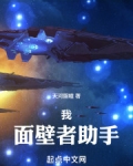 我，面壁者助手