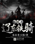三国之辽东铁骑