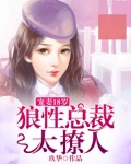 宠婚狼性总裁太任性