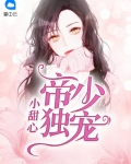 帝少独宠小甜心全文阅读叶如初