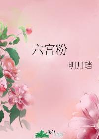 六宫粉 明月写的啥