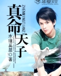 真命天子第二部免费播放