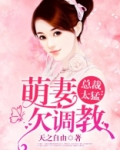盛婚溺爱：霸道总裁偏执爱