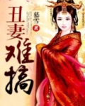 丑妻难搞