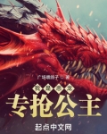 我是恶龙,专抢公主在线阅读