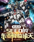从高达seed的东亚降临诸天 笔趣