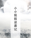 小小狐奴 小说
