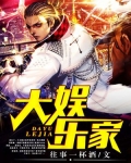 大娱乐家歌词