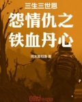 三生三世真情