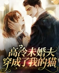 高冷未婚妻的小说