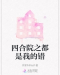 四合院之小说