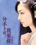 分手再说我爱你前一部