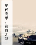 绝代高手：巅峰之路