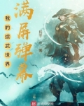 我的综武世界满屏弹幕