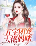 五宝团宠大佬妈咪落晚晚寒未迟