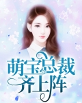 关于总裁萌宝的电视剧