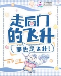 走后门的飞升,那也是飞升！