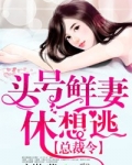总裁的头号鲜妻