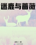 迷鹿啥意思