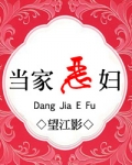 当家恶妇