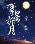 攀星折月萧元帅