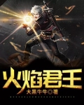 火焰君王的小说叫什么