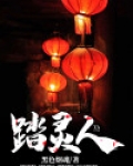 踏灵人 小说