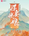 悍妻系列之四