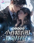 傅总的小说
