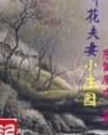 叫化夫妻小庄园百度云
