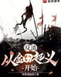 反清:从金田起义开始无错版