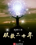从教二十年小说