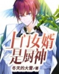 上门女婿是神医是什么小说