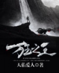 万王之王3d为什么下架了
