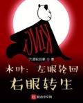木叶：左眼轮回，右眼转生