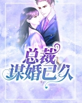 总裁谋婚手册免费阅读