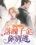隐婚总裁：落魄千金你别逃
