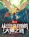 精灵宝可梦比比鸟进化