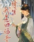 清穿我是四福晋簪花一朵,免费