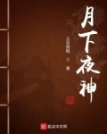 月下夜神 小说