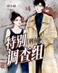 特别调查组[刑侦]百度网盘