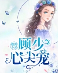 免费顾少不爱请离婚