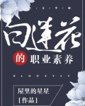 白莲花的职业素养快穿txt百度云