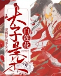 太子是朵白莲花11免费阅读