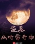 盗墓从听雷开始选择