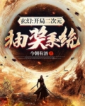 二次元抽奖系统 小说