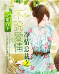 冷情总裁之不说爱情