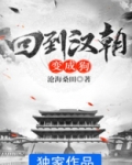 张骞回到汉朝