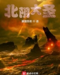 北阴大圣小说